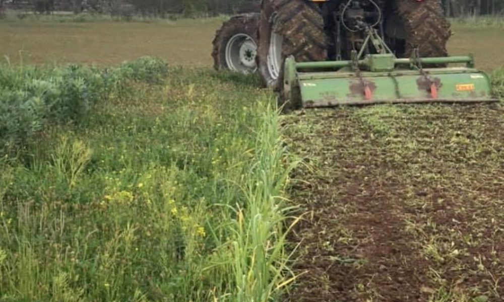 274978316_718876426135324_8506186244847804364_n