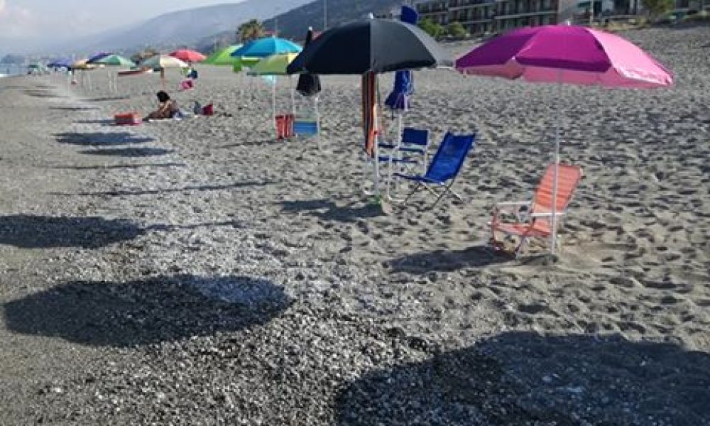 67277881_1108462599348987_3480164514790375424_n