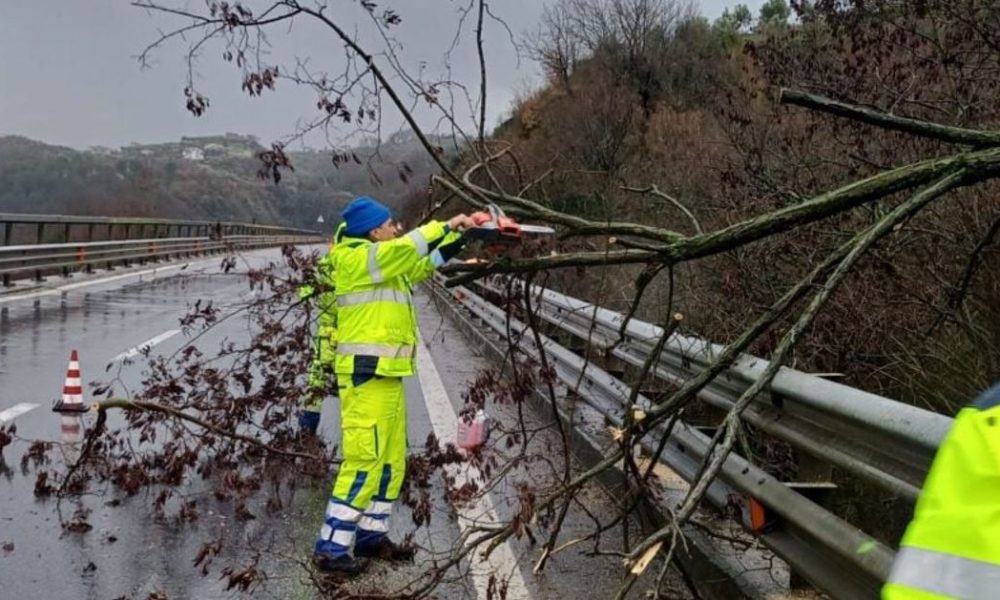 autostrada a2 alberi caduti