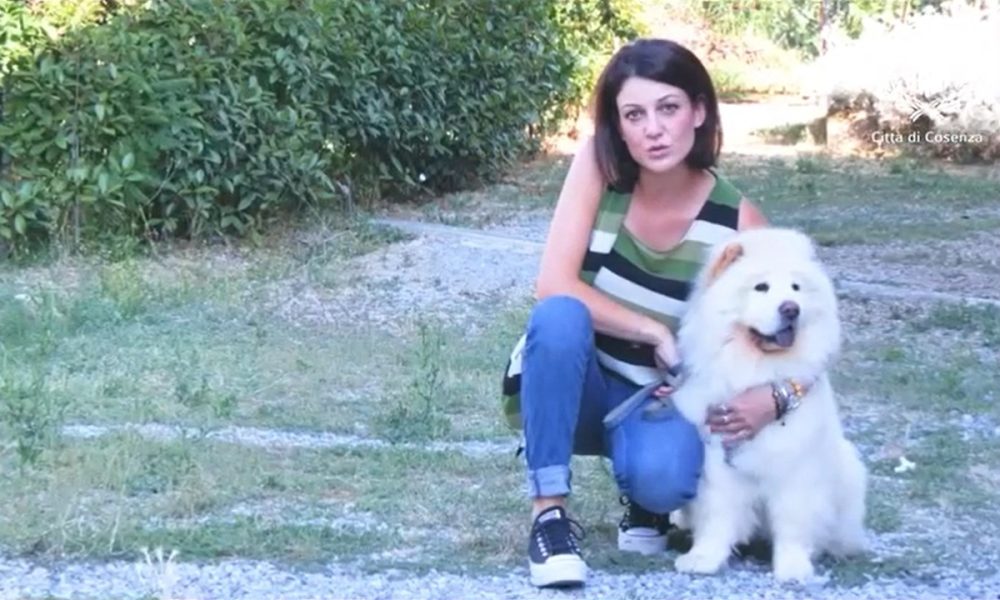 campagna-abbandono-animali