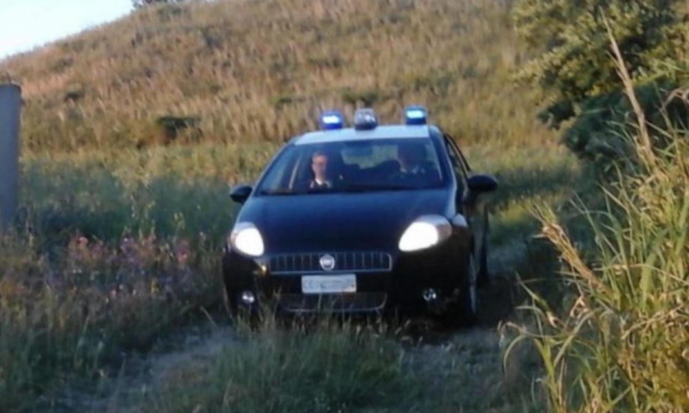 carab-terreno-agricolo