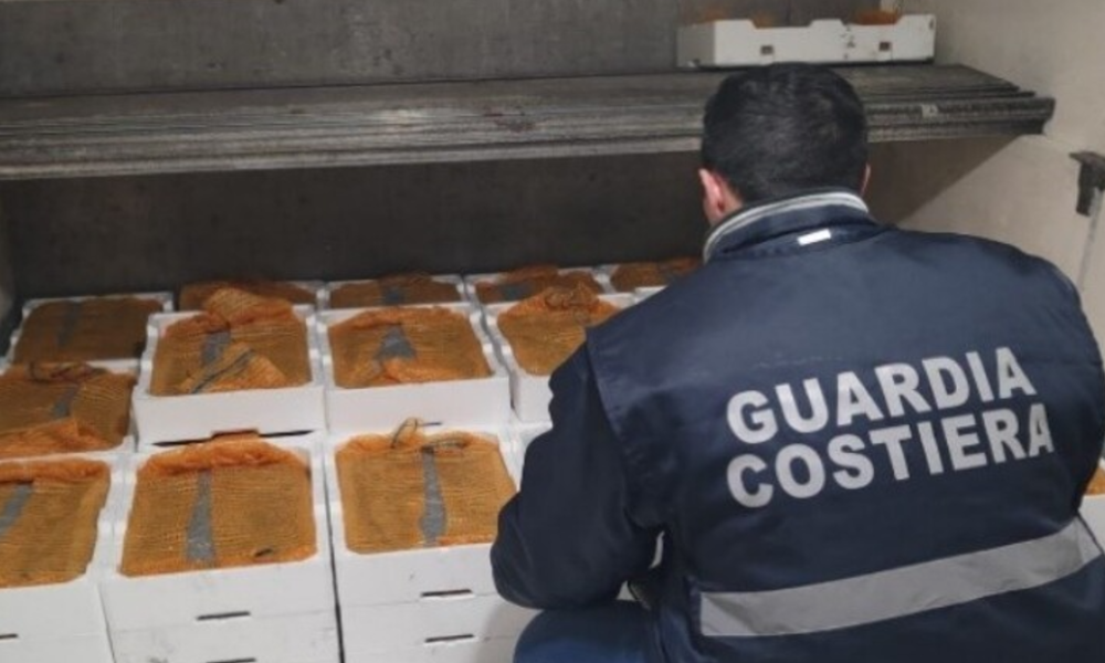 corigliano sequestro