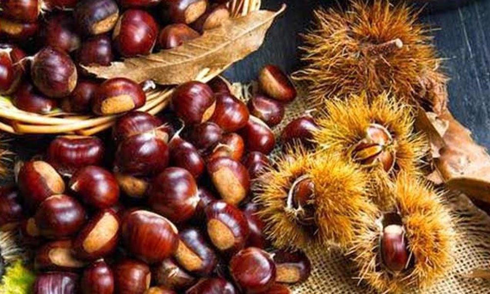 festa-delle-castagne