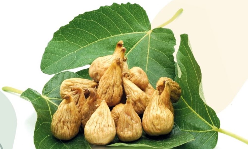 festival-fichi-cs-cop