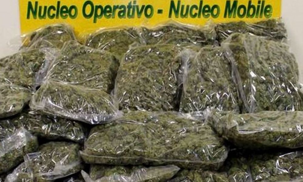 gdf-lamezia-marijuana