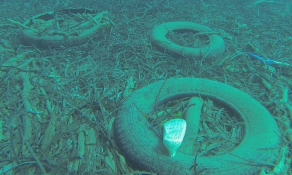 isola-di-dino-calnews