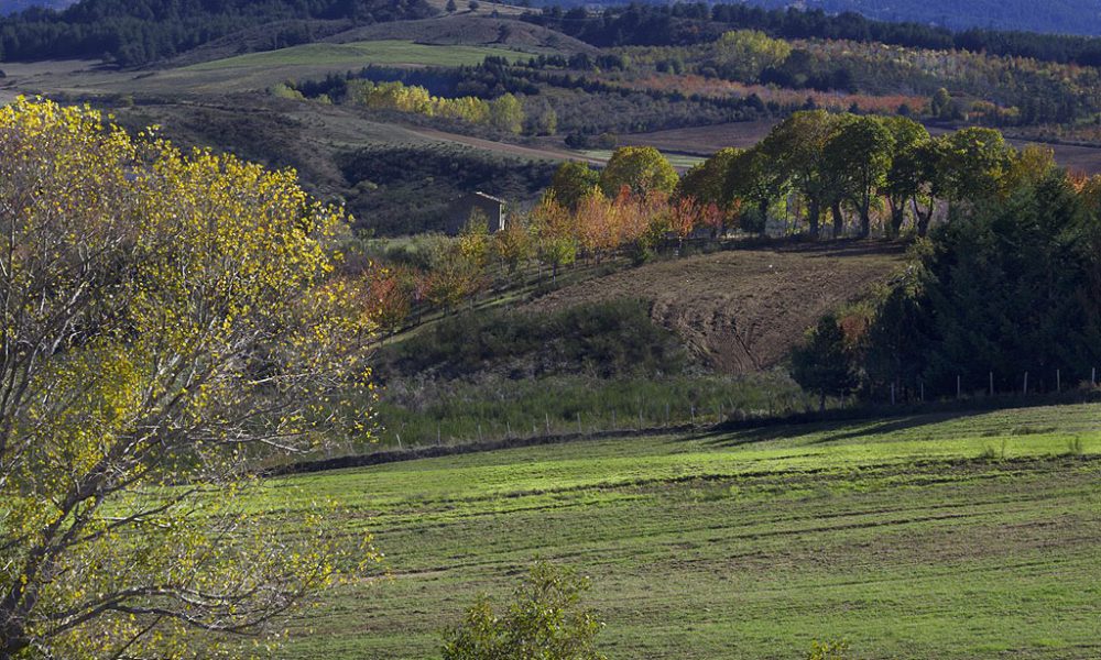 parco-nazionale-della-sila