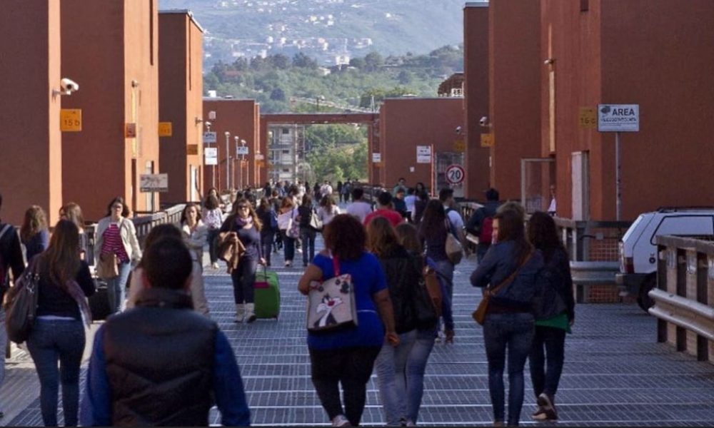 ponte-bucci-universita